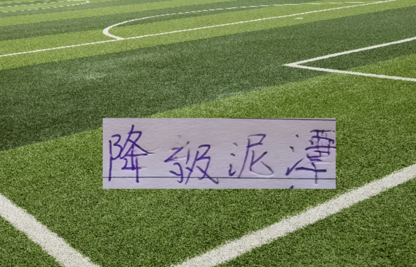 开云体育官网-青岛海牛积分转正！北京国安保级就危险 8轮下来他们相差就是2分